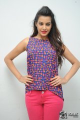 Diksha Panth at Kavvintha Movie Trailer Launch